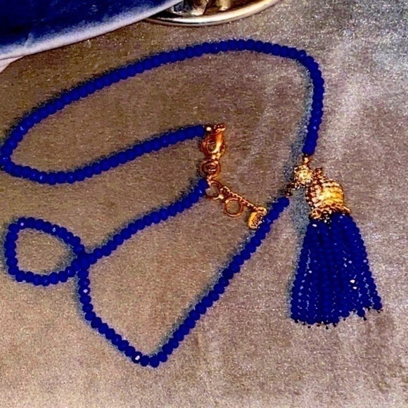 Amrita Singh Tassel Blue statement Sapphire long necklace new no tags - Picture 3 of 7
